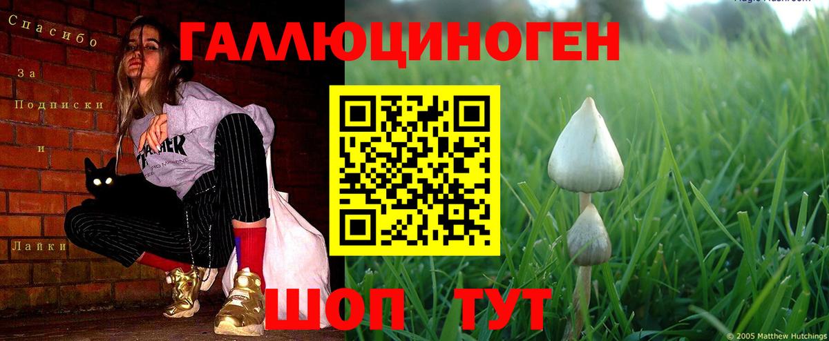 Псилоцибиновые грибы мухоморы Пенза