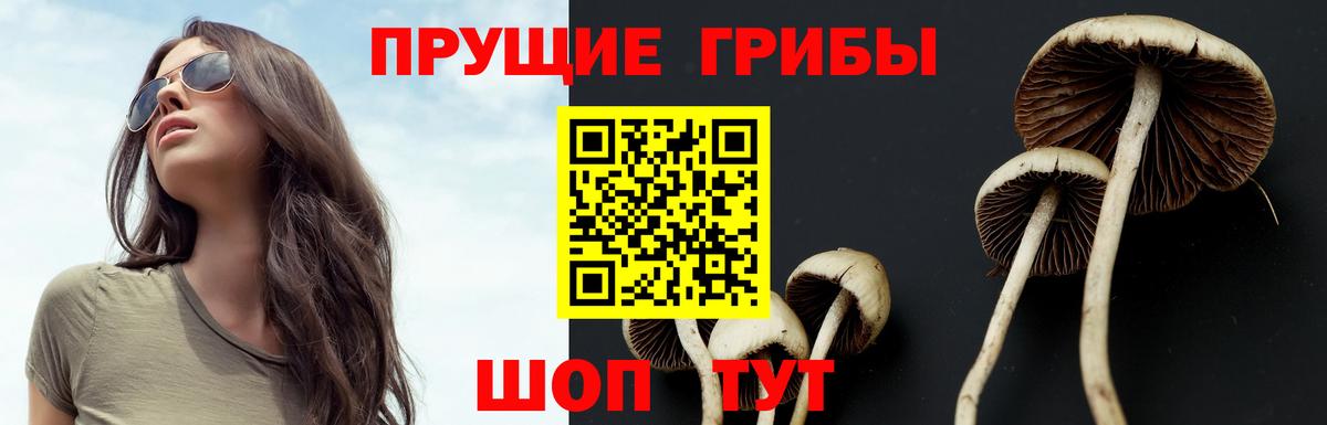 Псилоцибиновые грибы Psilocybine cubensis  Вход с VPN  Пенза 