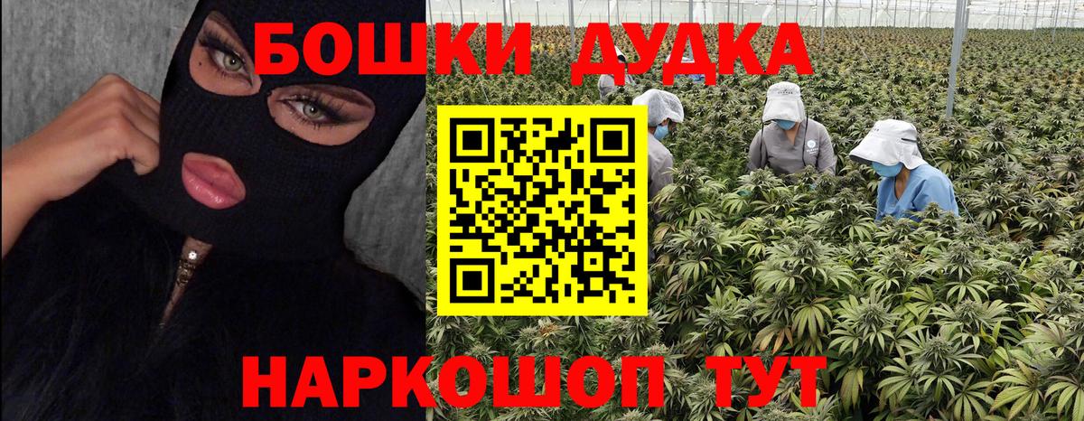 Бошки марихуана Ganja Пенза